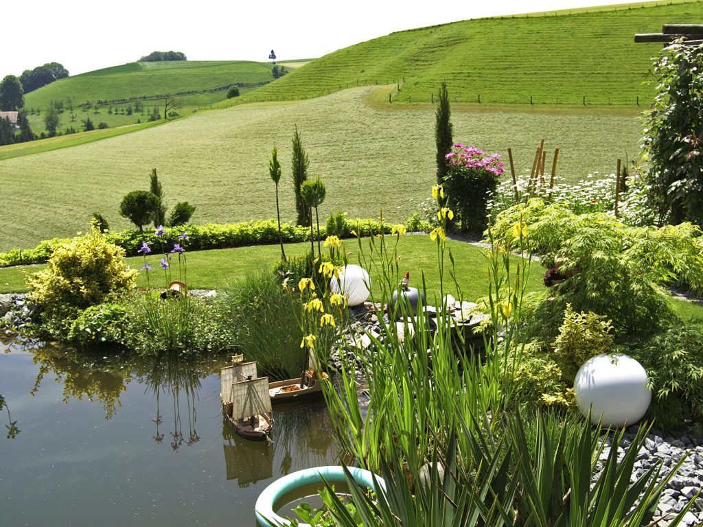 Amstutz Gartenbau AG, Biotope Wasseranlagen