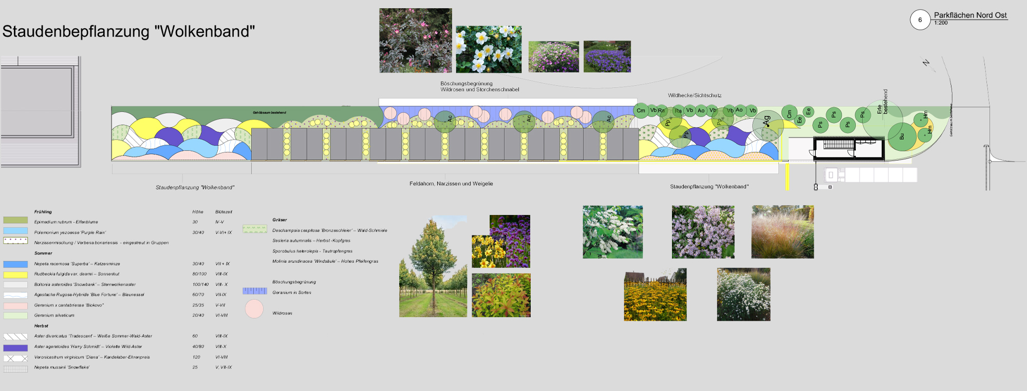 Amstutz Gartenbau, Gartenplanung, Pflanzenplan 