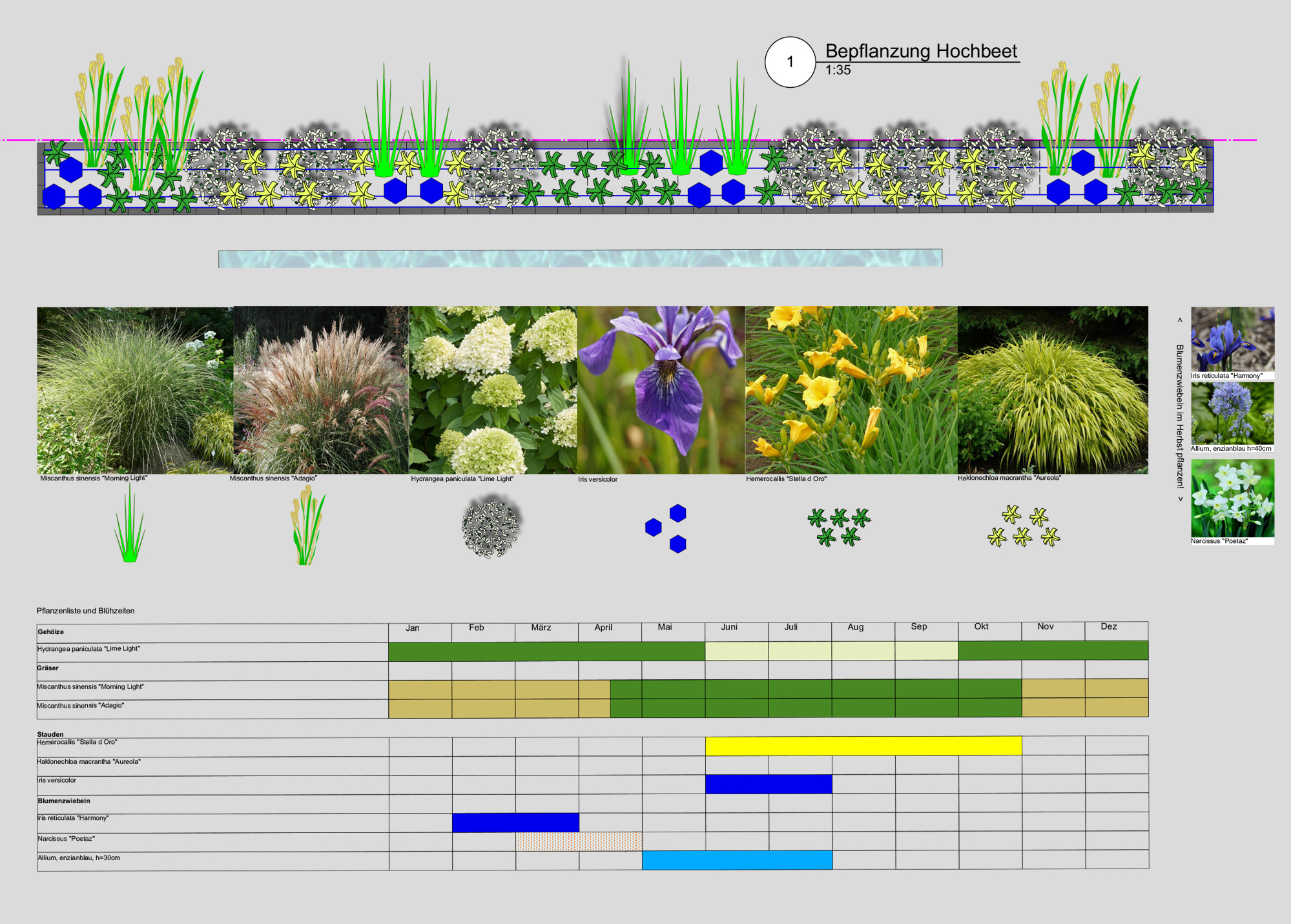 Amstutz Gartenbau, Gartenplanung, Pflanzenplan, Bepflanzungsplan 